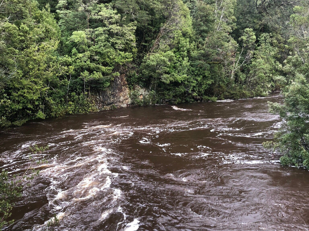Mt Donaldson-Corinna必去景点