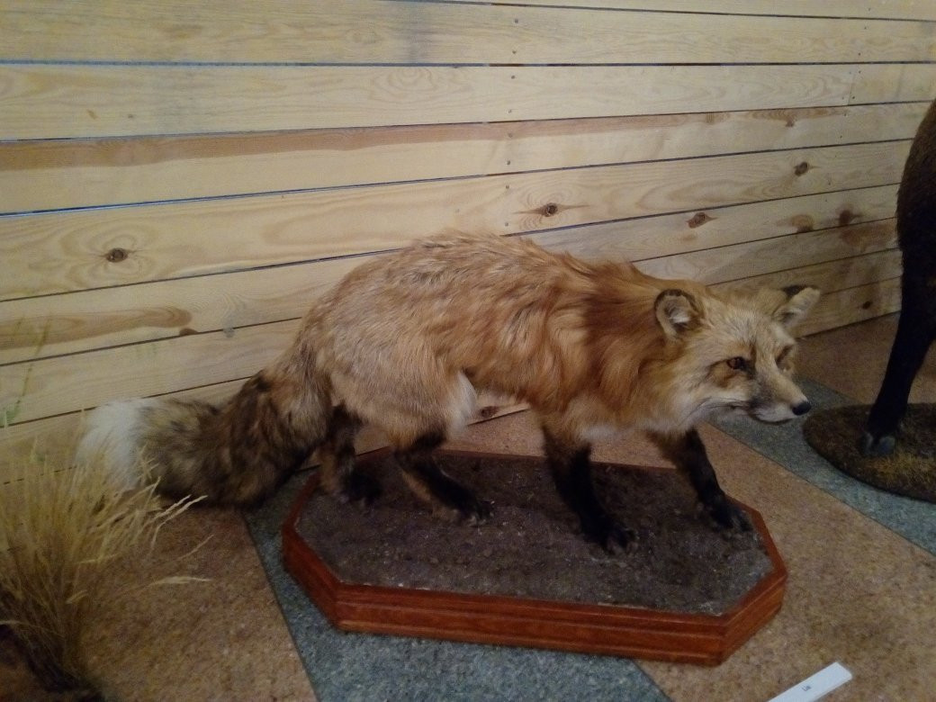 Forestry Museum景点图片