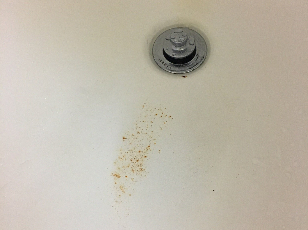 艾迪生希尔顿花园酒店主图