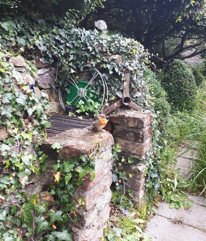 Fairbrook House Gardens & Museum of Contemporary Figurative Art-Kilmeaden必去景点