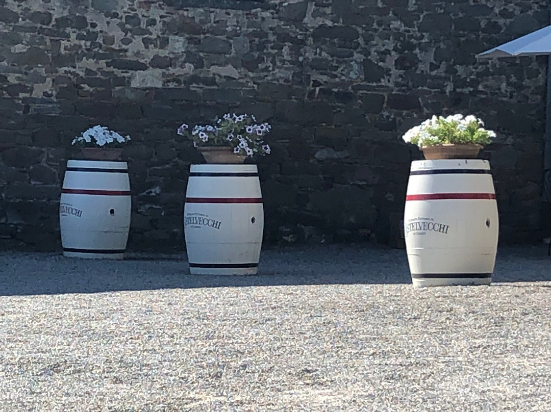 Cantina Castelvecchi in Chianti-拉达因基安蒂必去景点