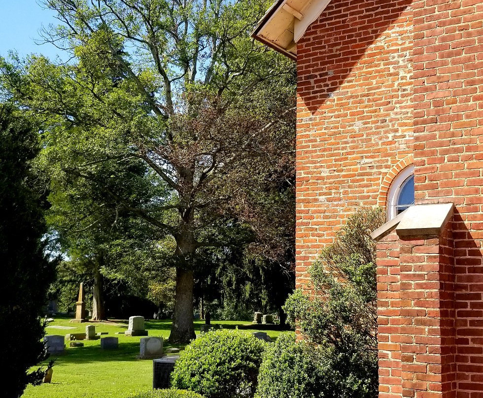 Shrewsbury Parish-Kennedyville必去景点