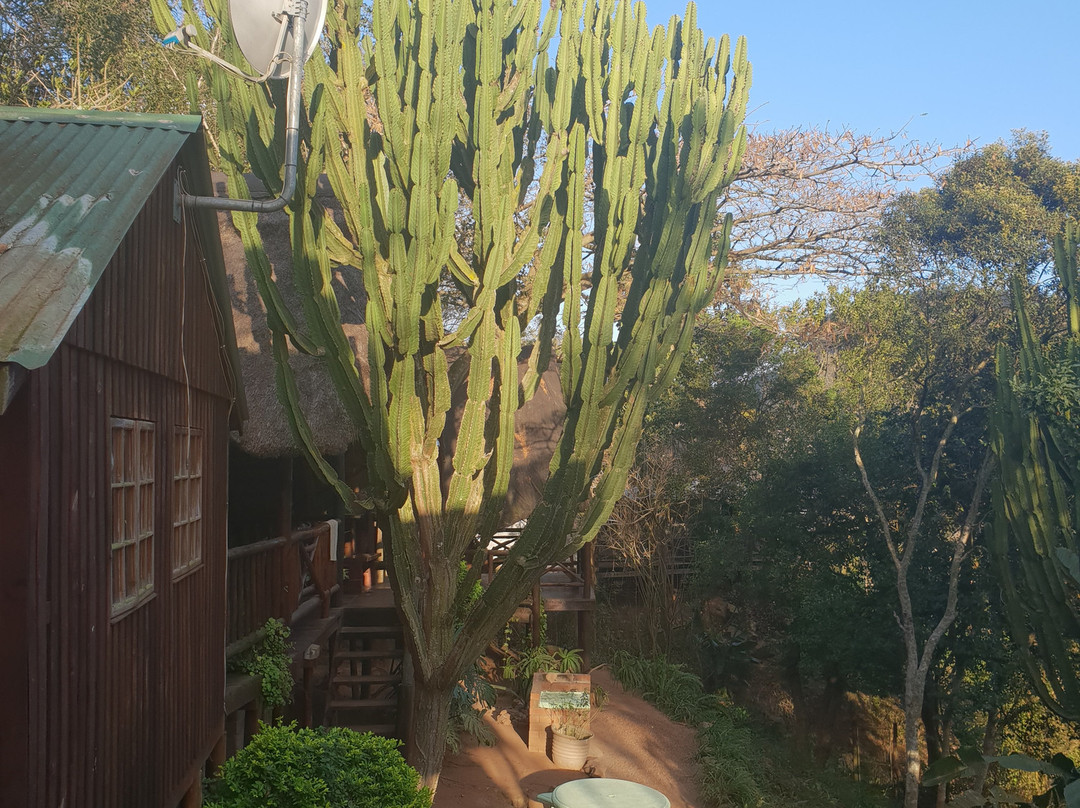 Tree House River Lodge主图