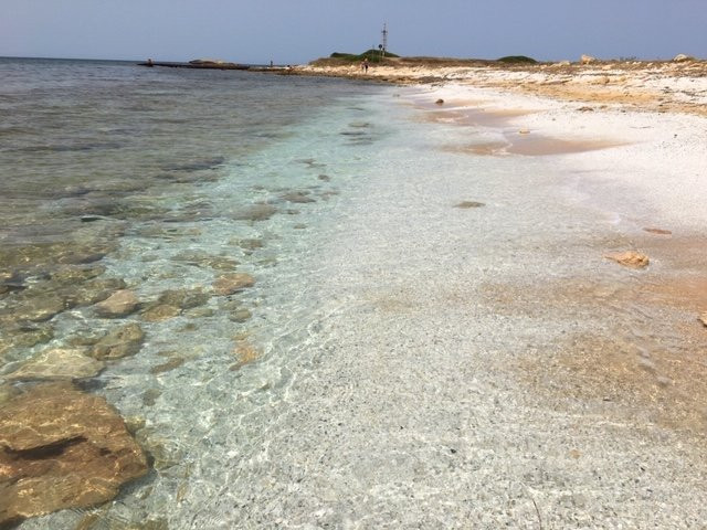 Agriturismo Villa Gaia主图