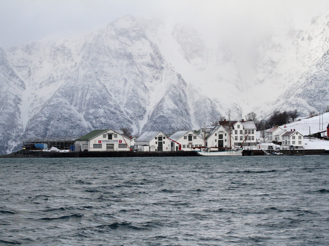 Boreal Yachting Day Trips景点图片