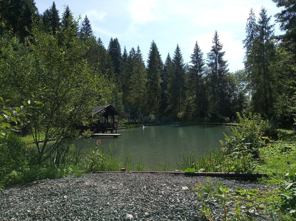 Chalet Le Dorf主图