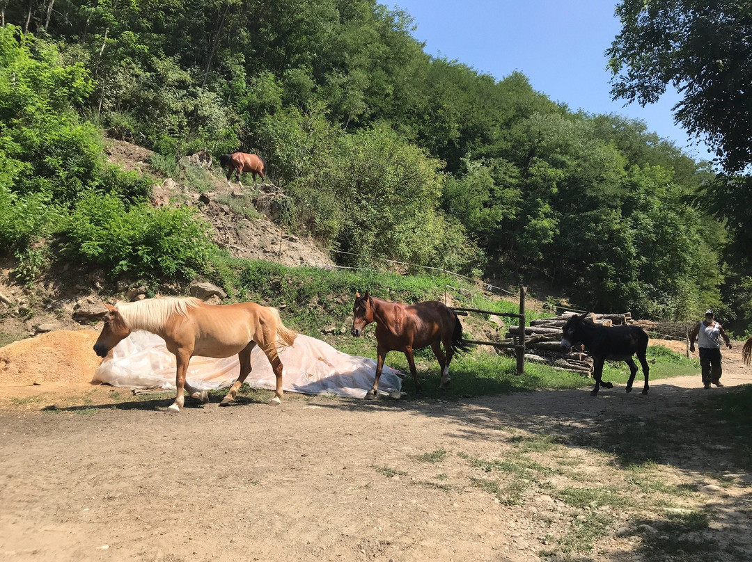 Ruscello Ranch-Bagni di Lucca必去景点