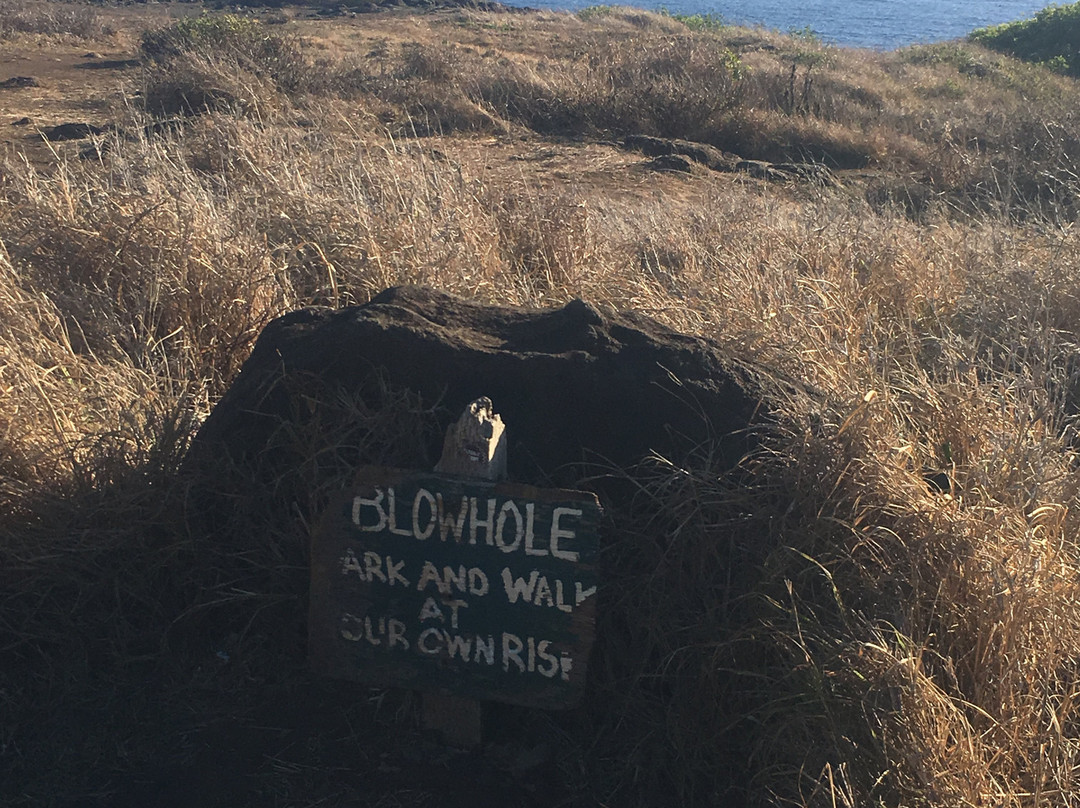 West Maui Cycles景点图片