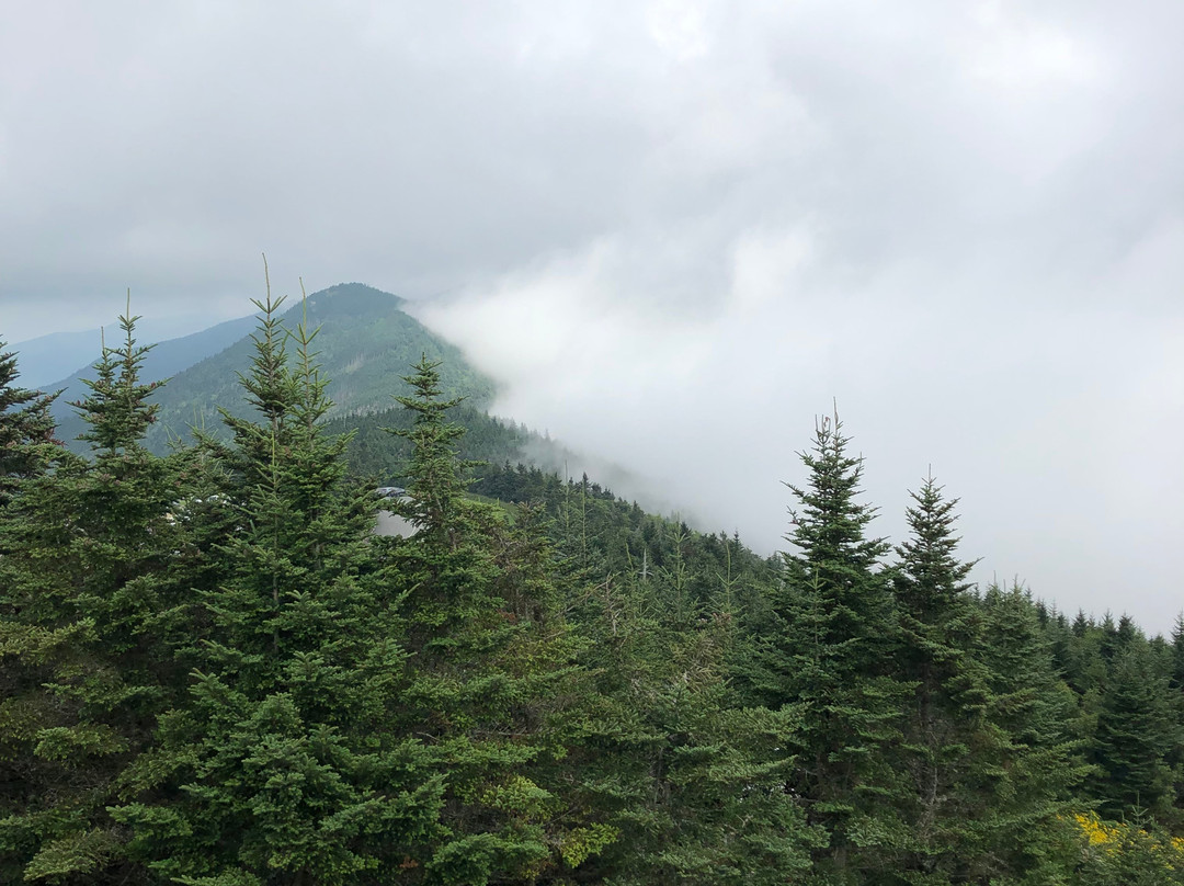 Asheville motorcycle rentals-阿什维尔必去景点