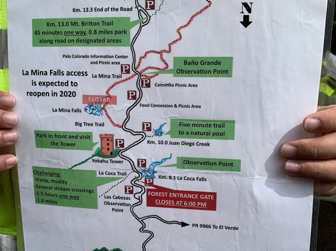 Catarata La Mina-云盖国家森林公园必去景点