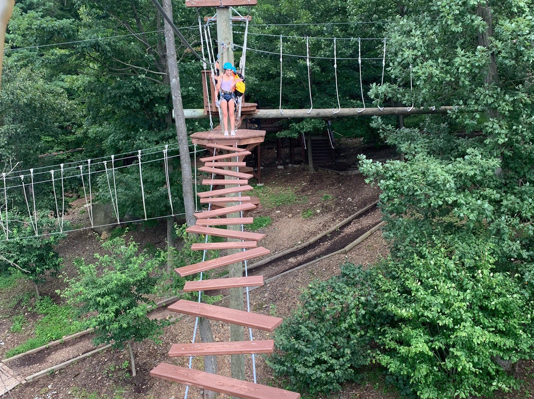 Essex County Treetop Adventure Course景点图片