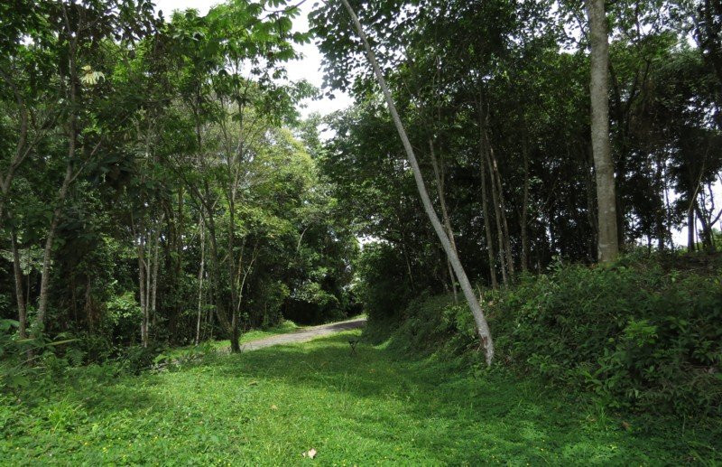 Talari Mountain Lodge主图