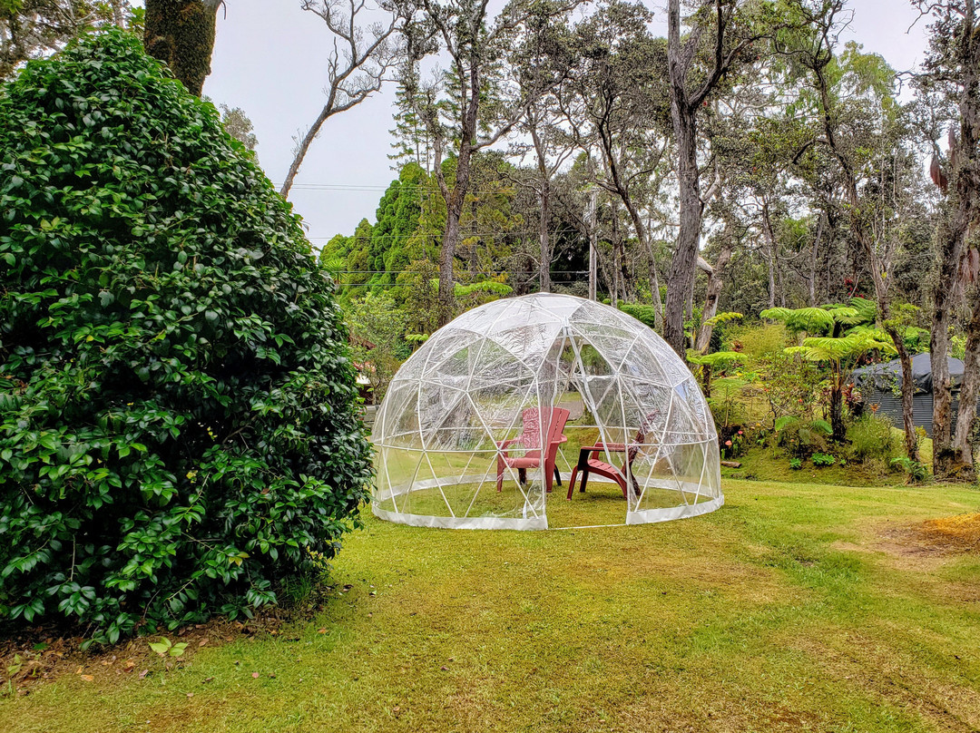 哈尔欧西亚小屋主图