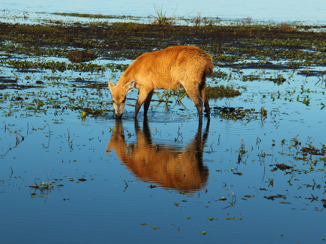 Ecoposada del Estero主图