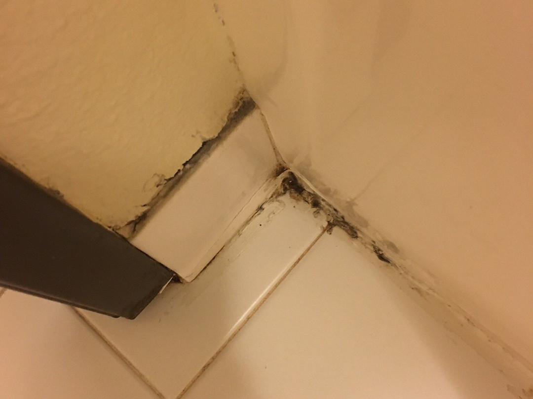 Blossom Hotel & Suites Traverse City主图