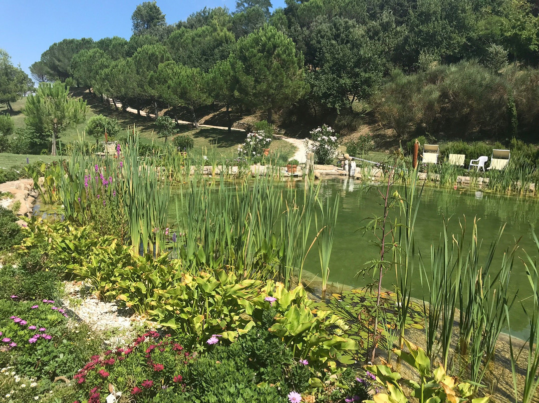 La Ciminiera Country House主图