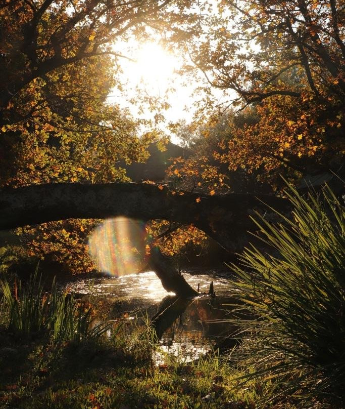 Hebron Haven Hotel主图