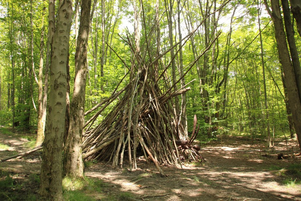 Griffis Sculpture Park-East Otto必去景点
