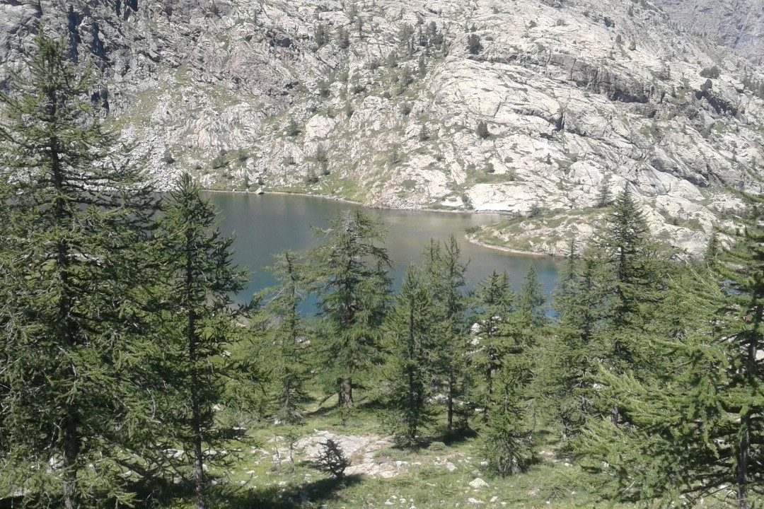 Natural Park Mont Avic景点图片