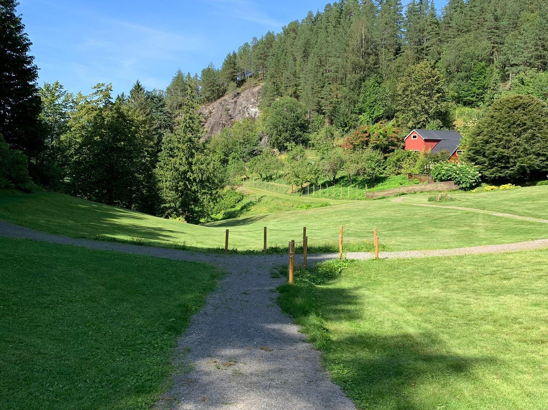 Svinviks Arboretum景点图片