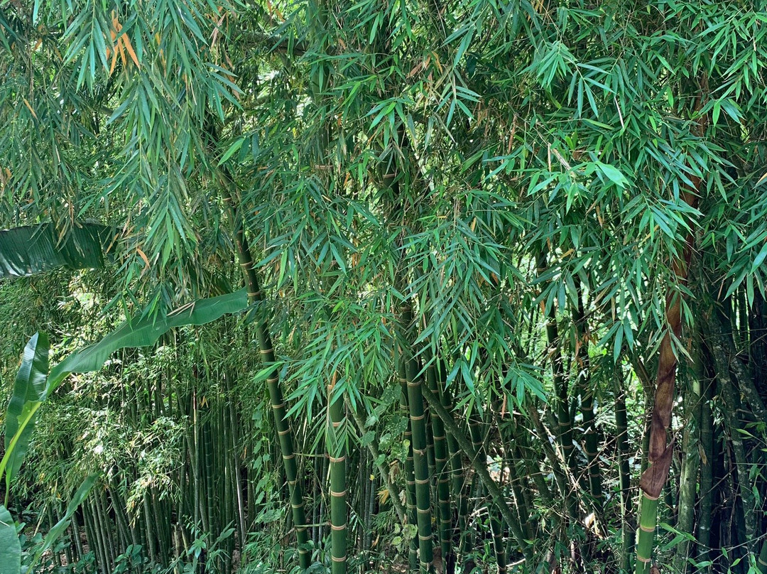 Balsora Hotel Boutique主图