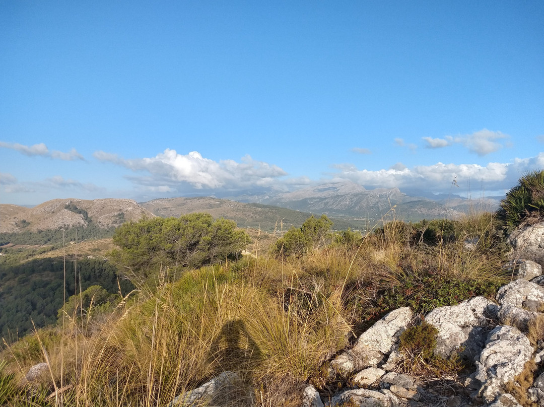 Puig de Sant Marti景点图片