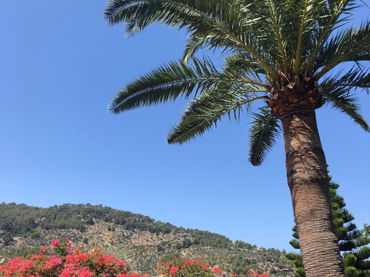 La Casa de Robert Graves-德亚必去景点