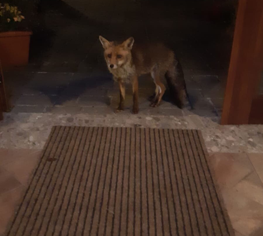 Locanda La Frasca主图