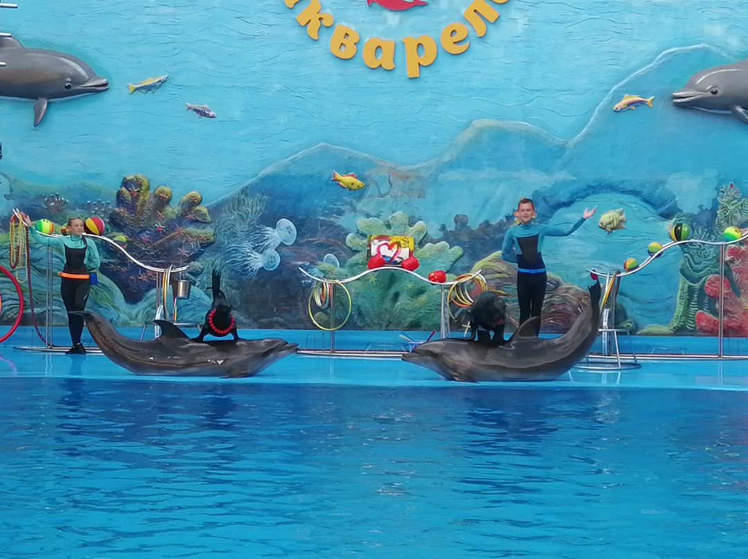 Dolphinarium Akvarel-阿卢什塔必去景点