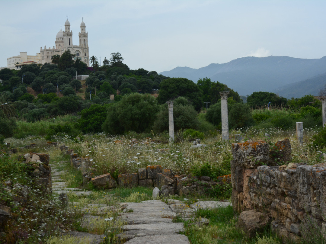 Musee des Ruines d' Hippone-阿拿巴必去景点