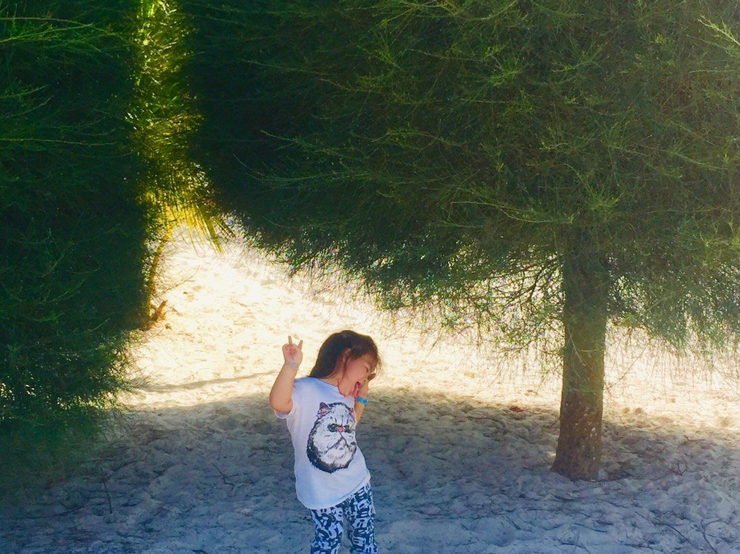 马利布海滩度假村主图