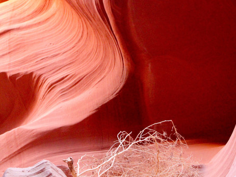 Dixie Ellis下羚羊峡谷之旅-佩吉必去景点