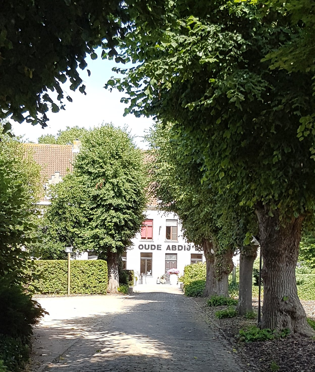 Hotel "Oude Abdij"-浴室