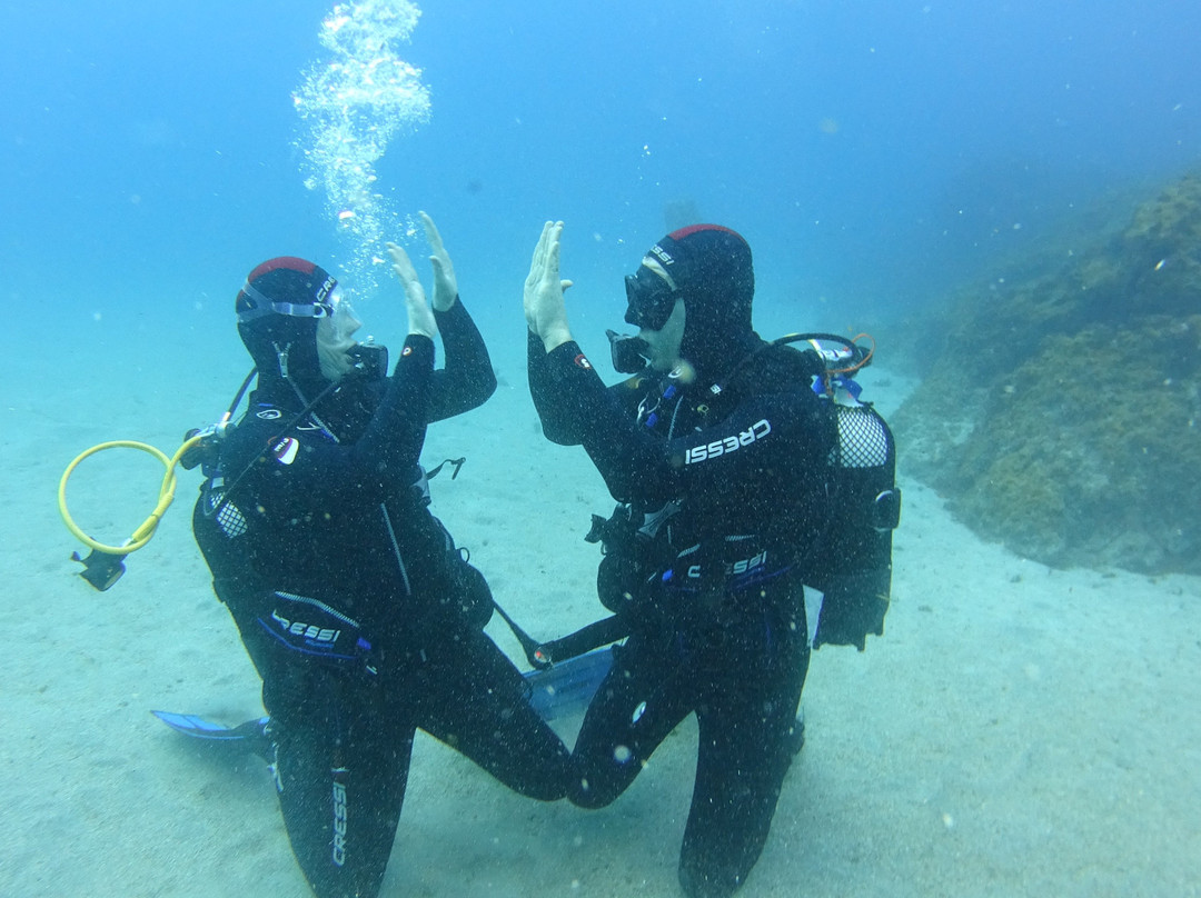 Dive Center Ocean Friends-Los Abrigos必去景点