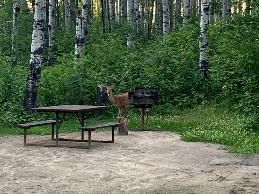 Meadow Lake Provincial Park景点图片