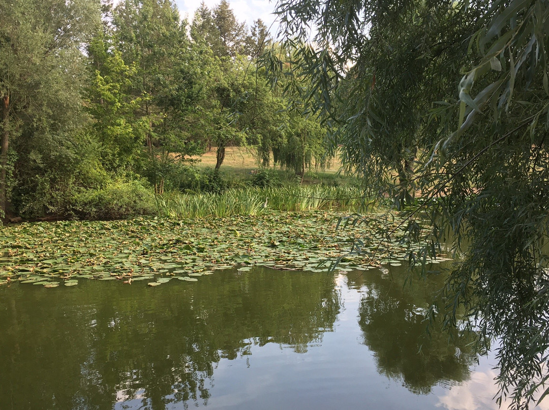 Fischtalpark景点图片
