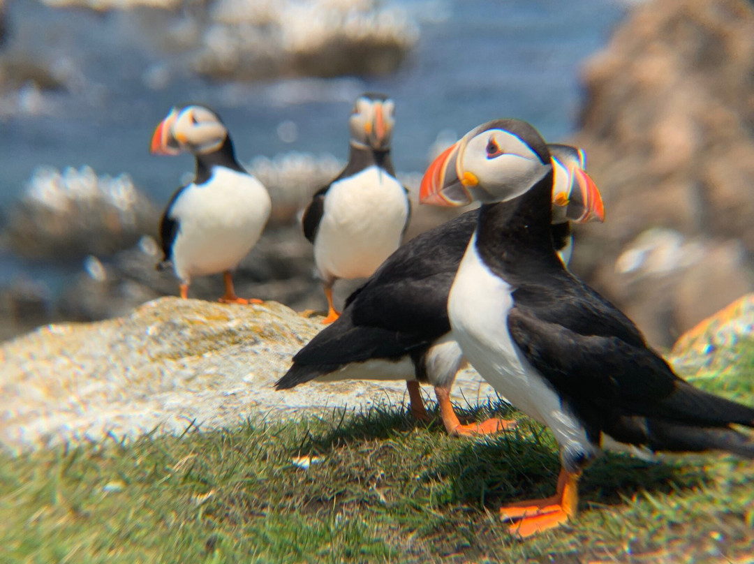 The Meems' Elliston B&B主图