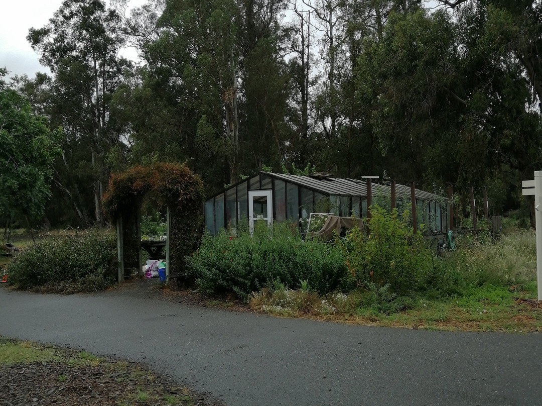 Ardenwood Historic Farm-费利蒙必去景点