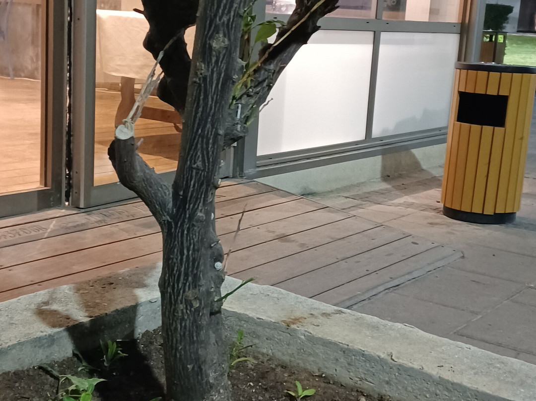 Nachsholim Kibbutz Country Lodging