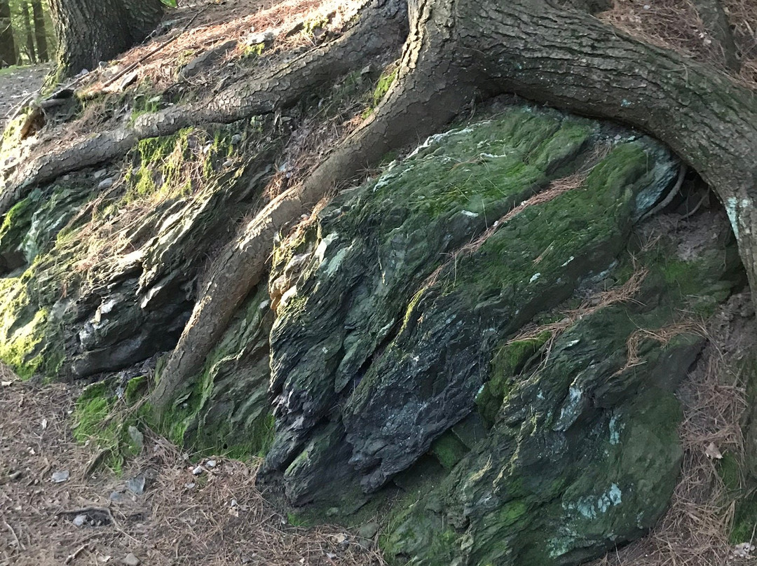 Retreat Trails-布拉特尔伯勒必去景点