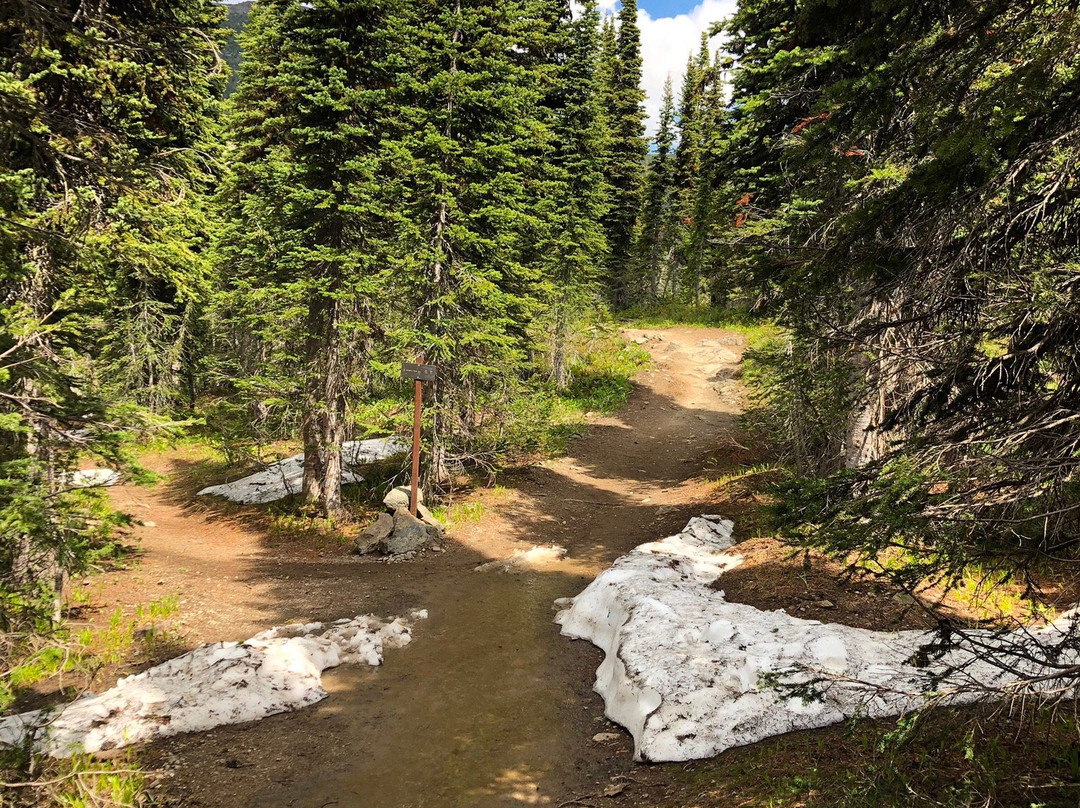 Granite Park Trail景点图片