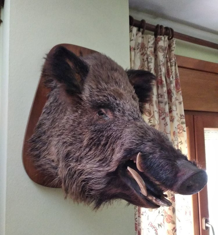 Hostal Nadalet主图