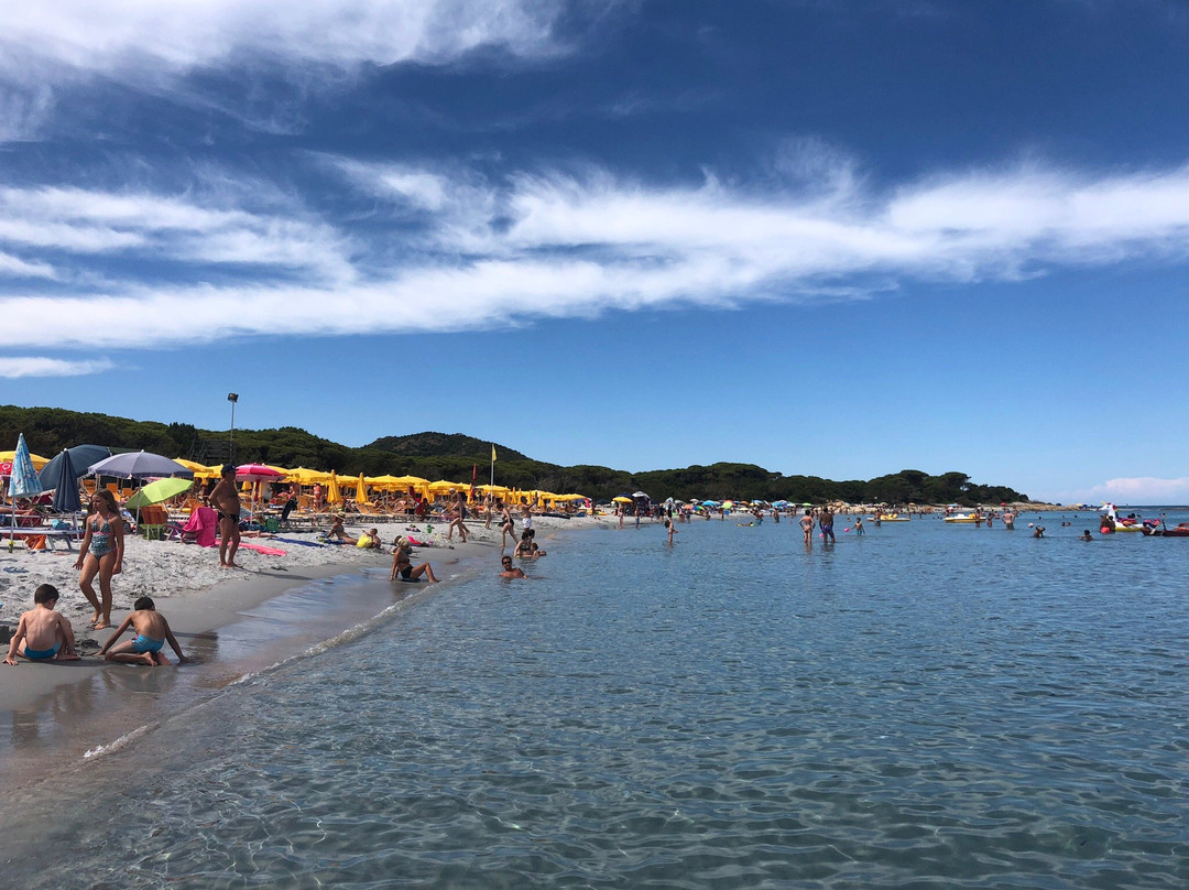 Spiaggia Cala Ginepro e Sa Curcurica景点图片