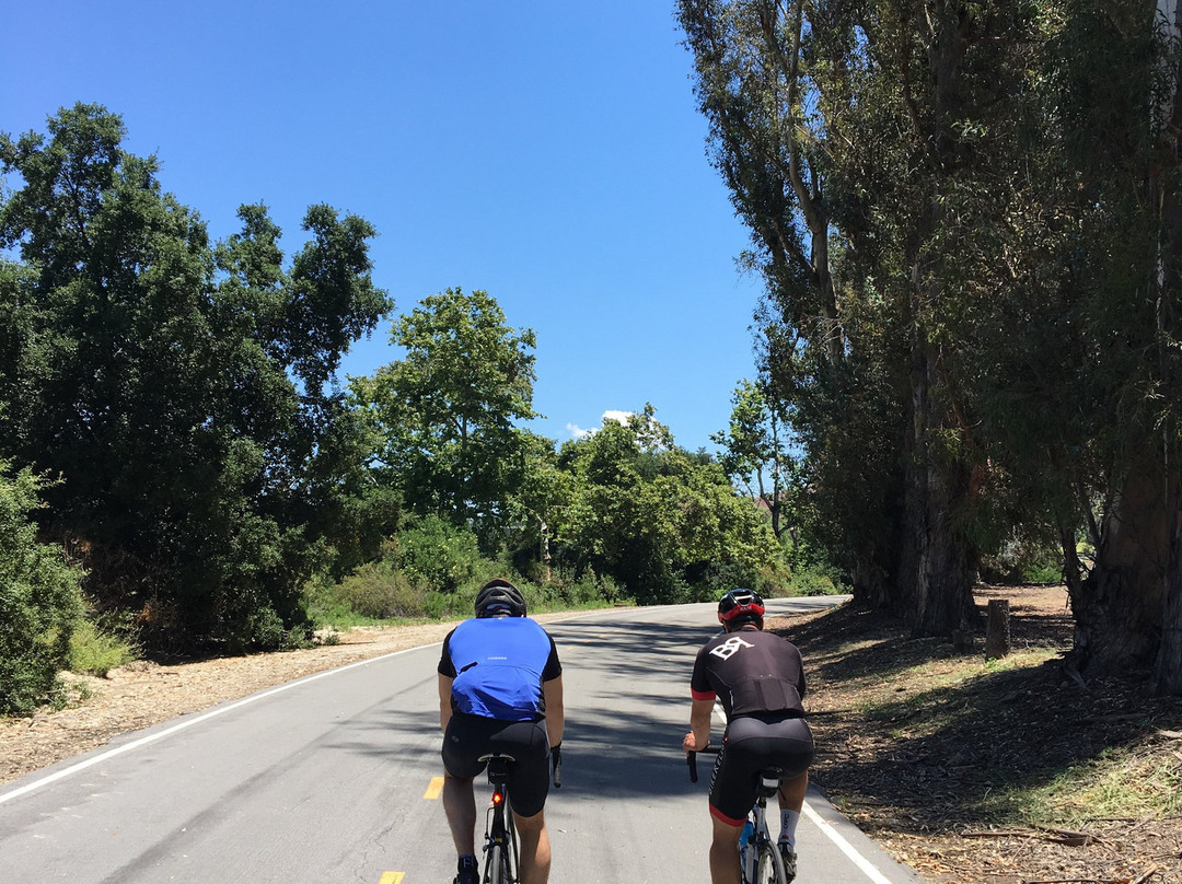 Synaptic Cycles Bicycle Rentals-德纳角必去景点