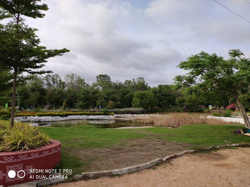 Hyderabad Botanical Gardens-海德拉巴必去景点