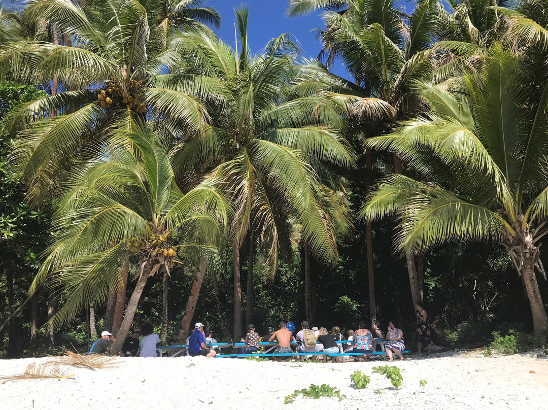 Turtle Reef Vanuatu-维拉港必去景点