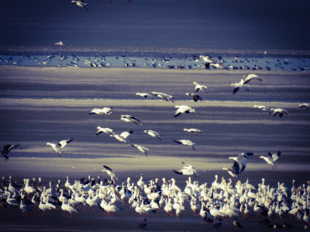 Carlyle Sailing association-Carlyle必去景点