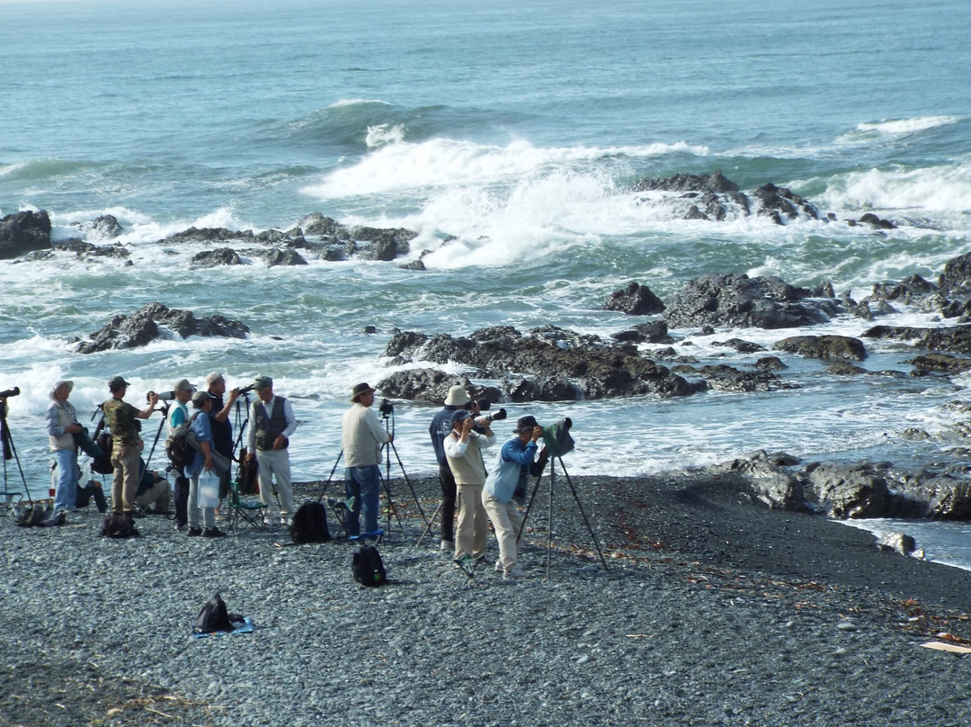 Oiso Beach-大矶町必去景点