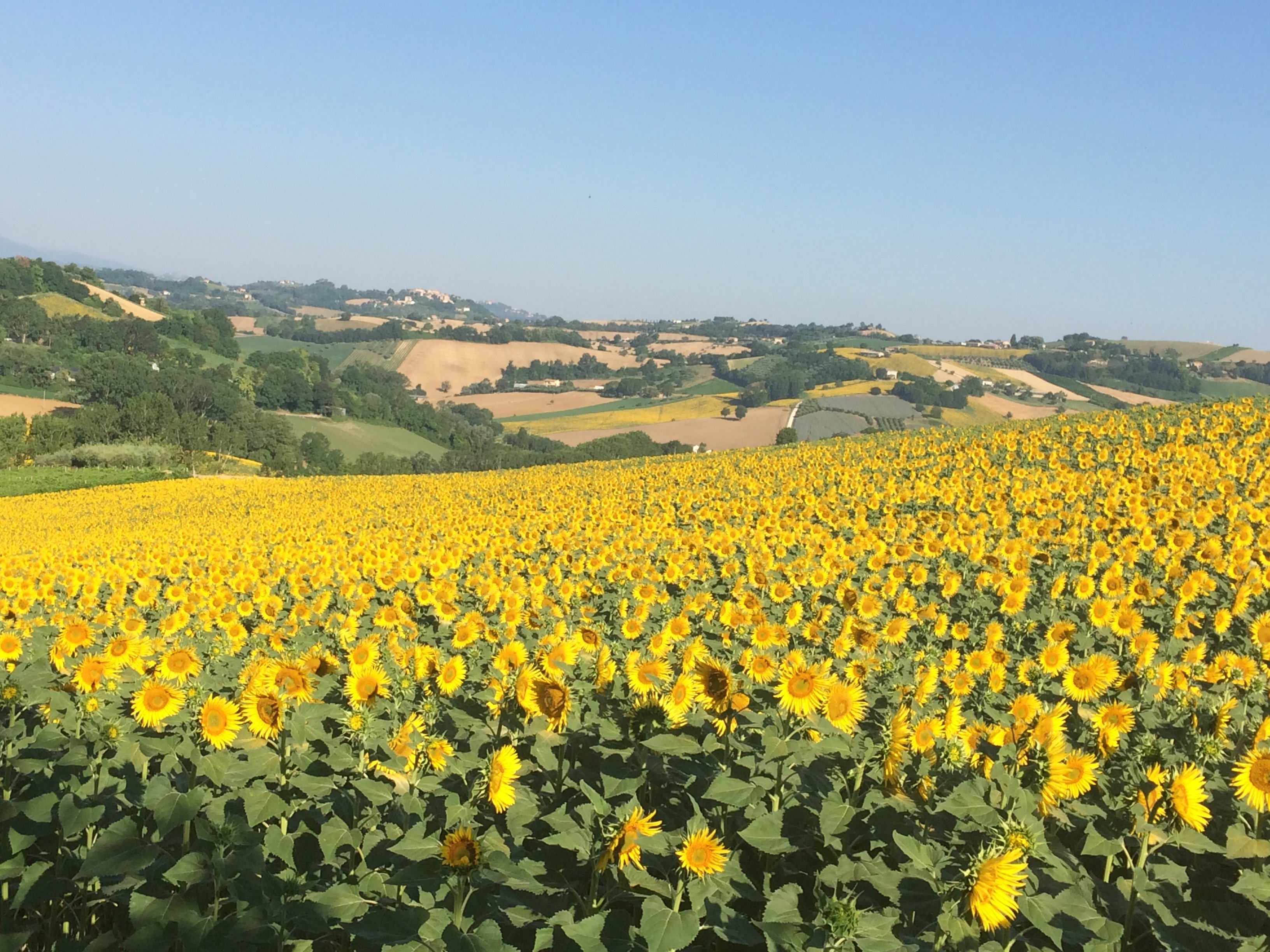 Agriturismo Eschito-官方