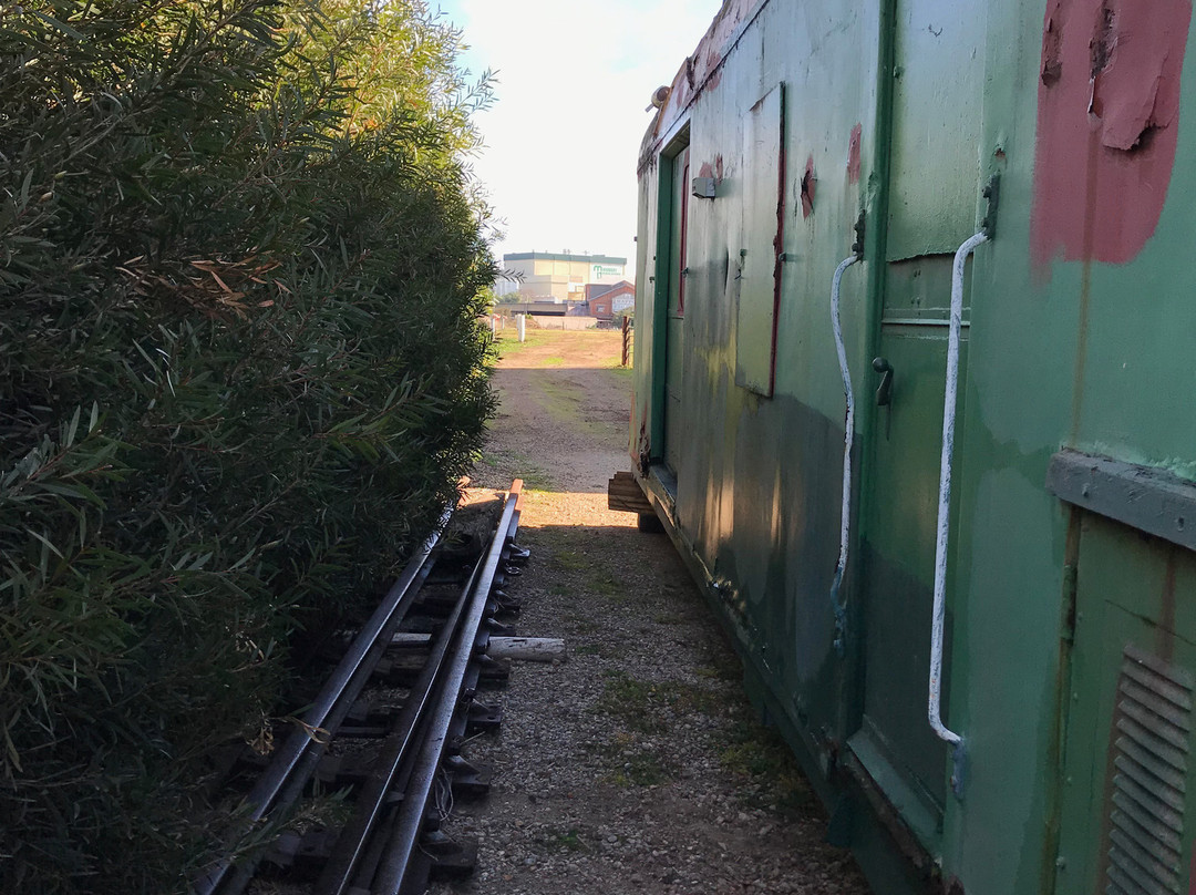 Gippsland Vehicle Collection-Maffra必去景点